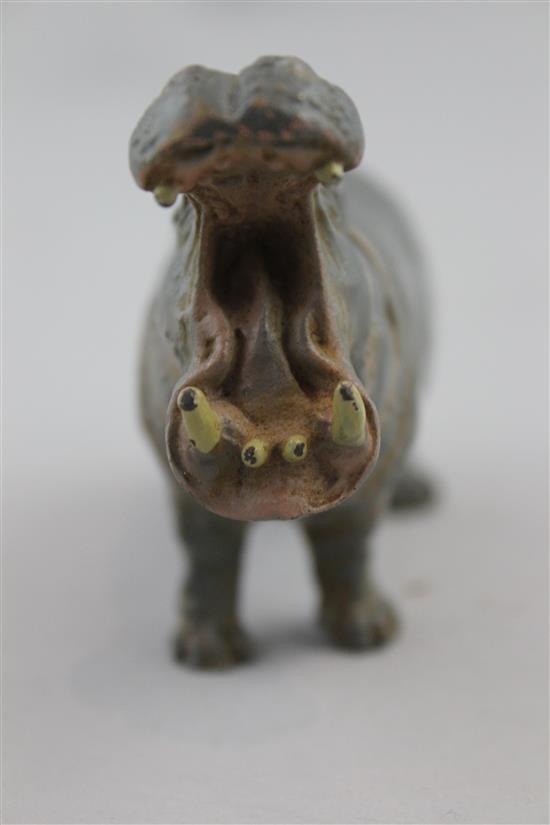 An Austrian Bergman cold painted bronze model of a hippopotamus, 4.5in.